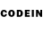 Codein Purple Drank 16gb 1866mhz(goodram)