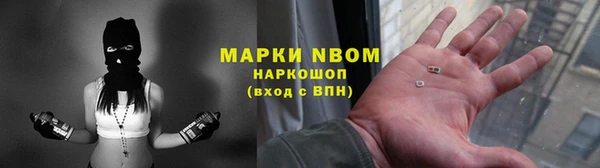 прущий лед Алзамай