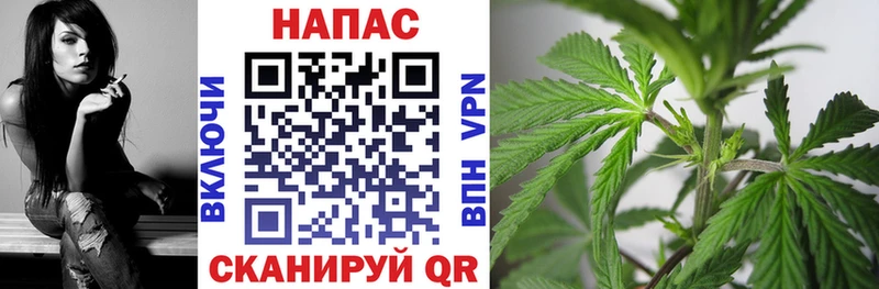где найти наркотики  Харовск  Бошки Шишки White Widow 